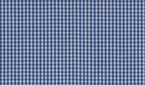 Blue Small Gingham