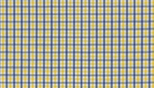 Load image into Gallery viewer, Yellow and Blue Gingham
