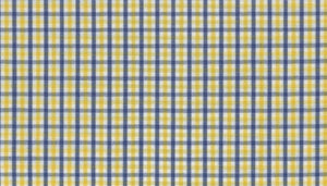 Yellow and Blue Gingham