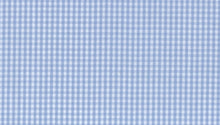 Load image into Gallery viewer, Light Blue Small Gingham
