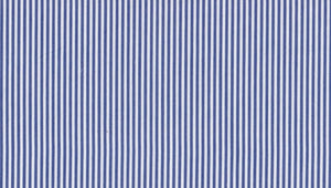 Nautical Blue Stripe