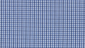 Blue Shades of Multi Gingham