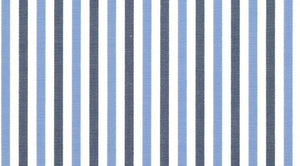 Light Blue and Charcoal Multi Stripe